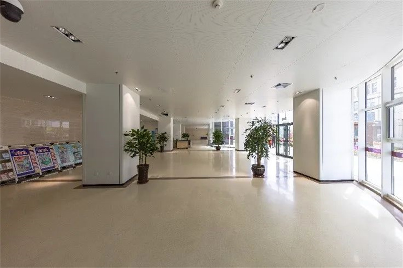 蓝月亮精选二四六资料